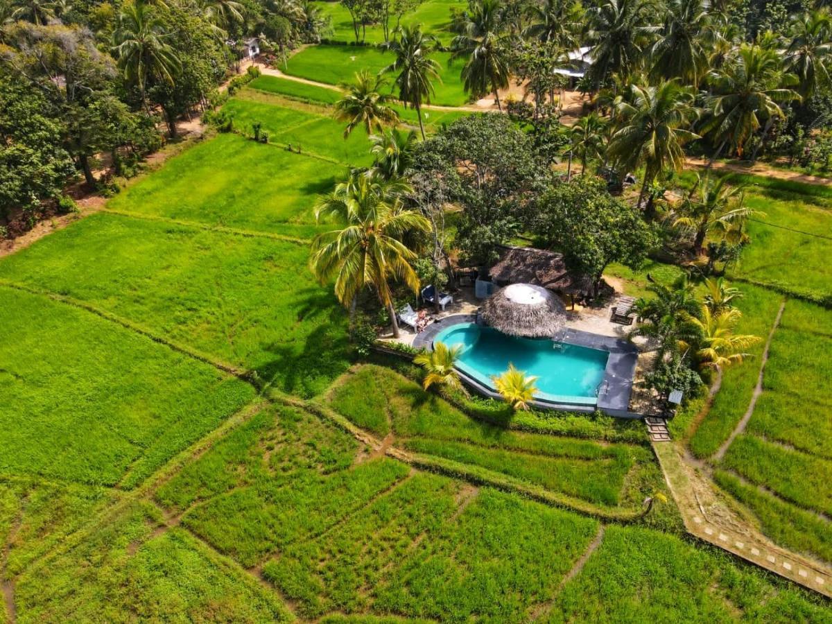 Nelu Villa Sigiriya Exterior photo