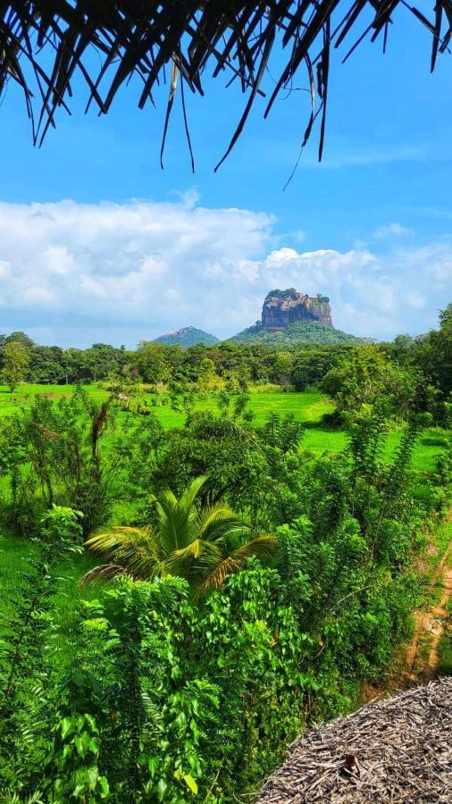 Nelu Villa Sigiriya Exterior photo