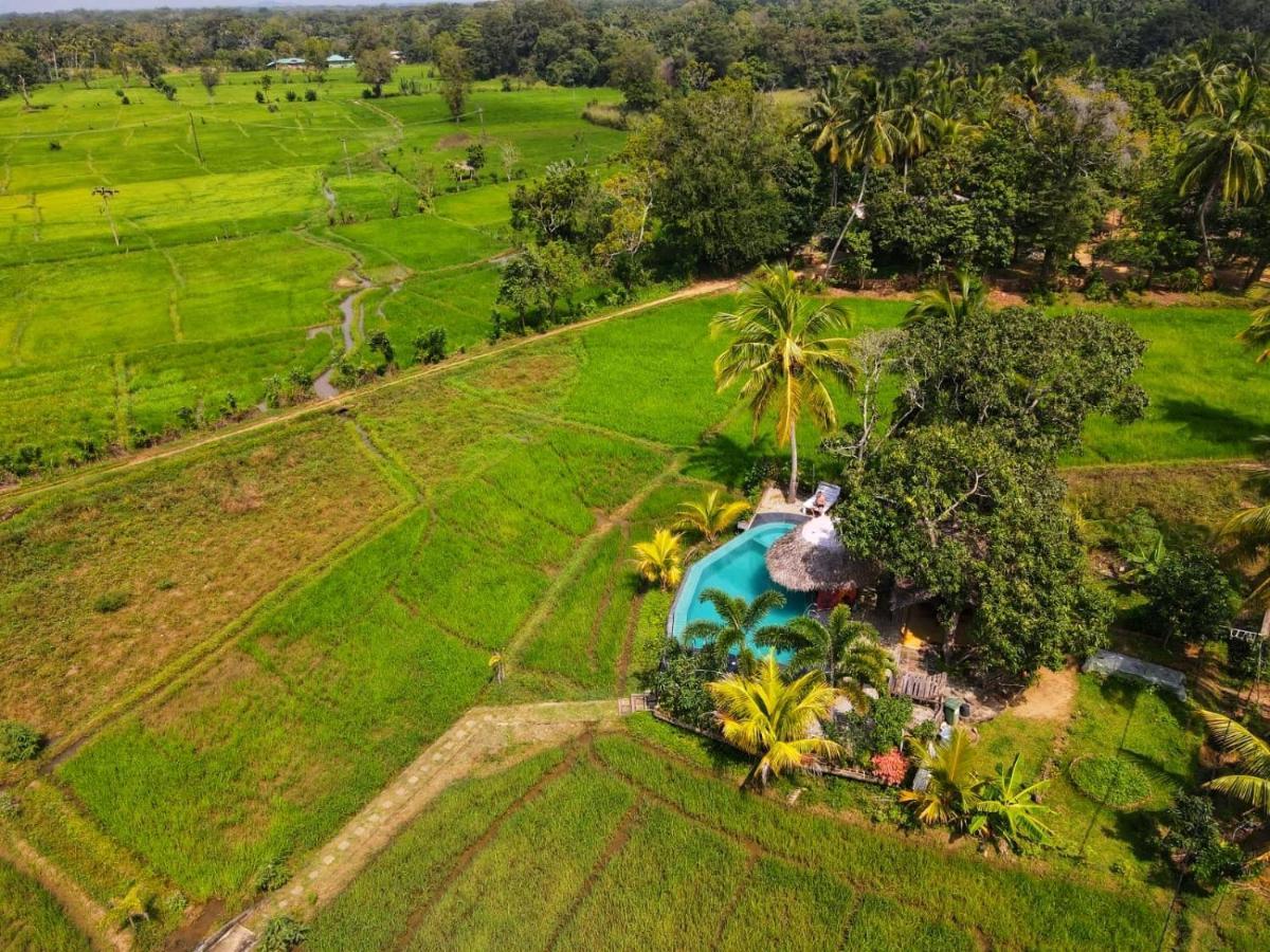 Nelu Villa Sigiriya Exterior photo