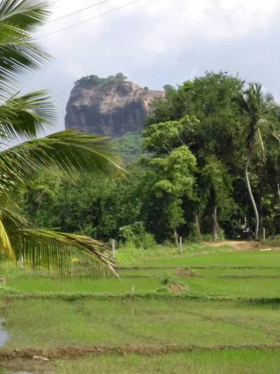 Nelu Villa Sigiriya Exterior photo